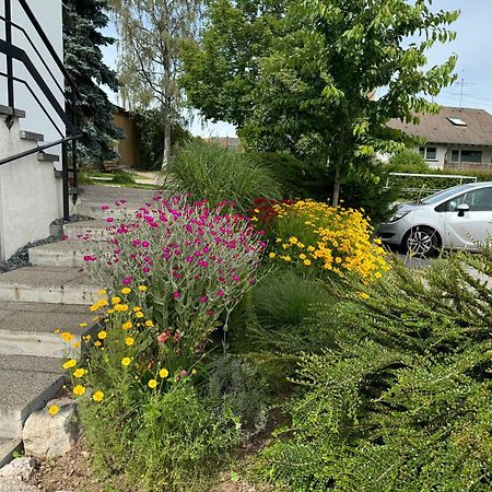 Apartament Haus Waldeck Ühlingen-Birkendorf Zewnętrze zdjęcie